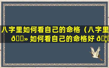 八字里如何看自己的命格（八字里 🌻 如何看自己的命格好 🦁 不好）